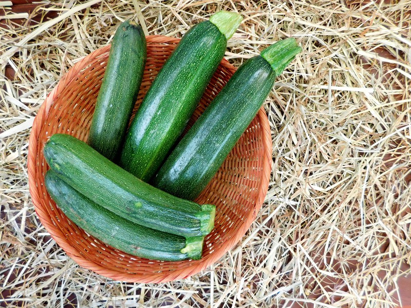 Zucchini aus dem eigenen Garten können das für uns giftige Cucurbitacine enthalten.