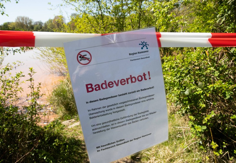 Im Sommer werden einige Badeseen gesperrt, weil sie von Blaualgen betroffen sind.