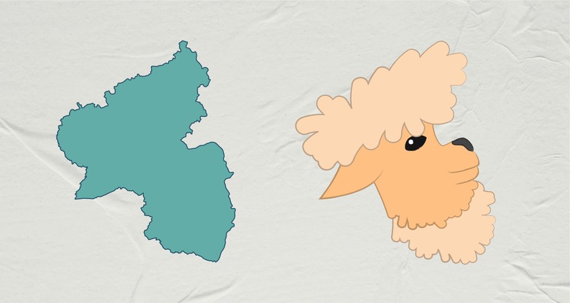 Rheinland-Pfalz erinnert uns an ein Alpaka.