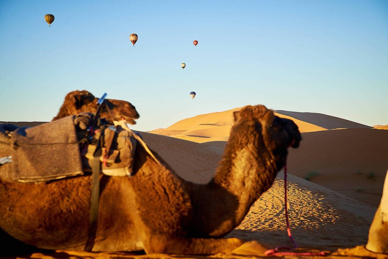 Marokko, insbesondere Marrakesch sind schon seit Jahren beliebte Reiseziele.