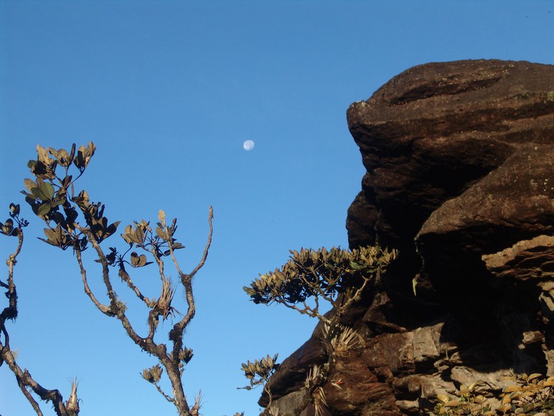 Auf dem Mount Roraima sollen laut Romanvorlage Flugsaurier gelandet sein.