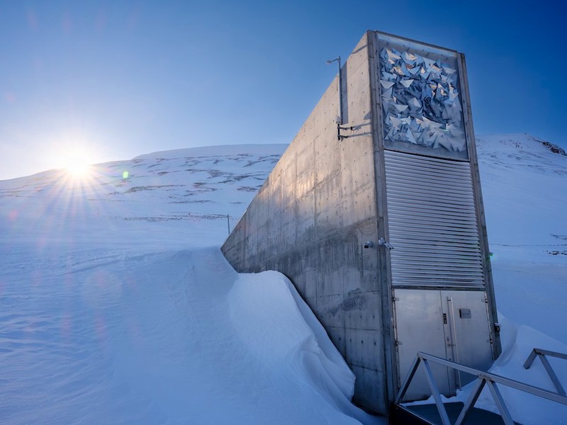 Das Svalbard Global Seed Vault beherbergt über 4 Millionen Pflanzen und Samen.