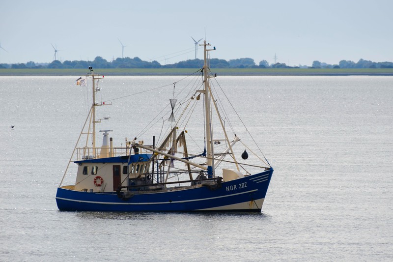 Skipper auf Norderney lehnt Hilfe nach Vorfall ab und sorgt für Aufsehen bei Inselbewohnern