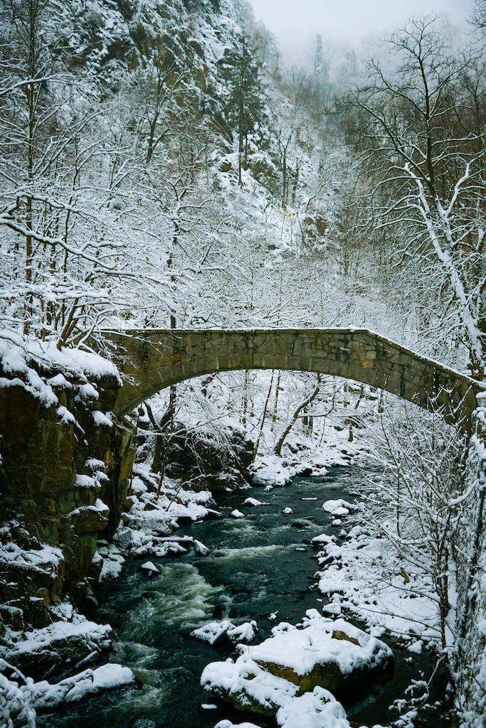 Das Bodetal im Harz in Sachsen Anhalt erstrahlt im winterlichen Glanz.