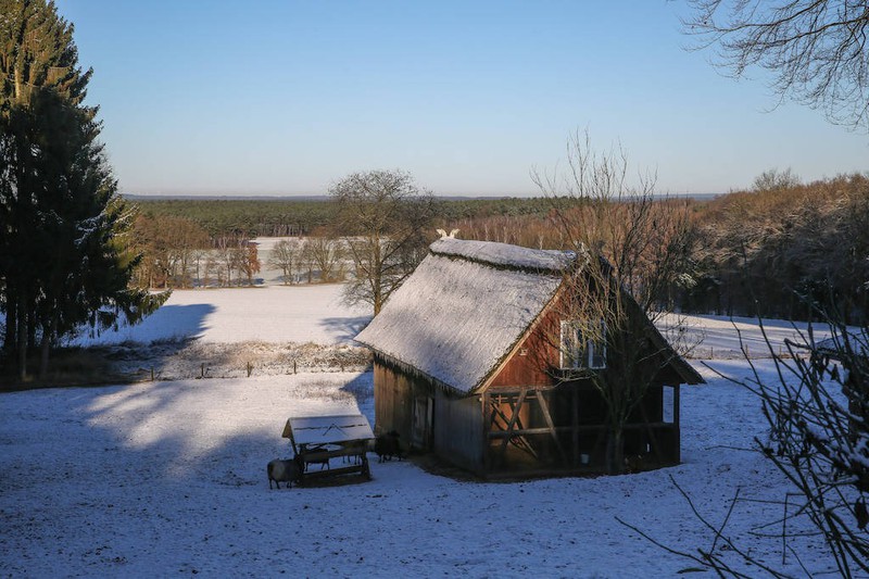 Die Lüneburger Heide ist ein echtes Winter Wunderland.
