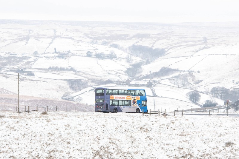 Im Bus kann man ungeahnt viel entdecken.