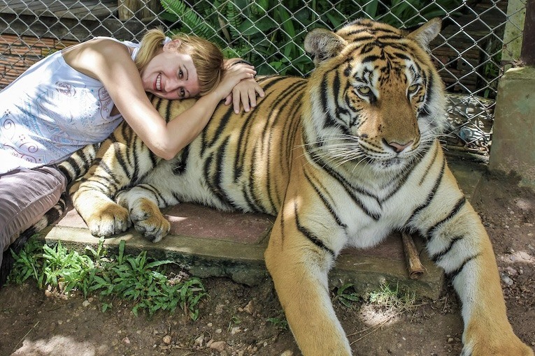 Für solche Bilder leiden die Tiere ein Leben lang.