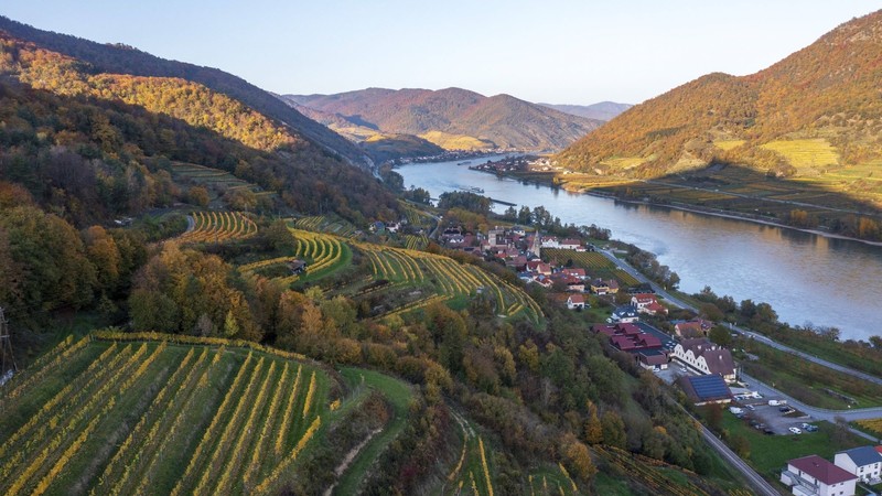 Fährst du gerne Fahrrad und trinkst Wein zur Stärkung, bist du in Wachau richtig.