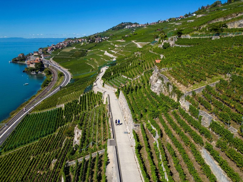 Wein trinken in einer Region, die Teil des UNESCO-Welterbes ist? Einfach traumhaft!