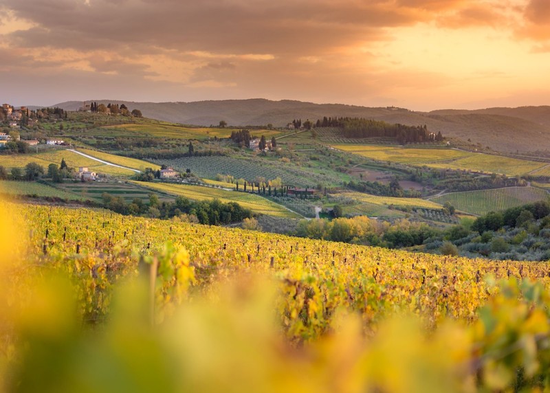 Wein trinken mit Blick auf eine Bilderbuch-Landschaft? In der Toskana geht's.