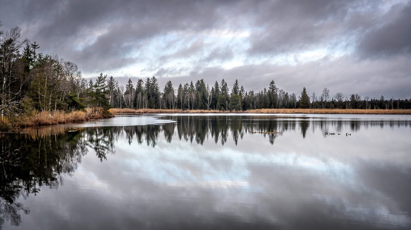 Das Naturschutzgebiet Wurzacher Ried in Allgäu eignet sich für Spaziergänge.