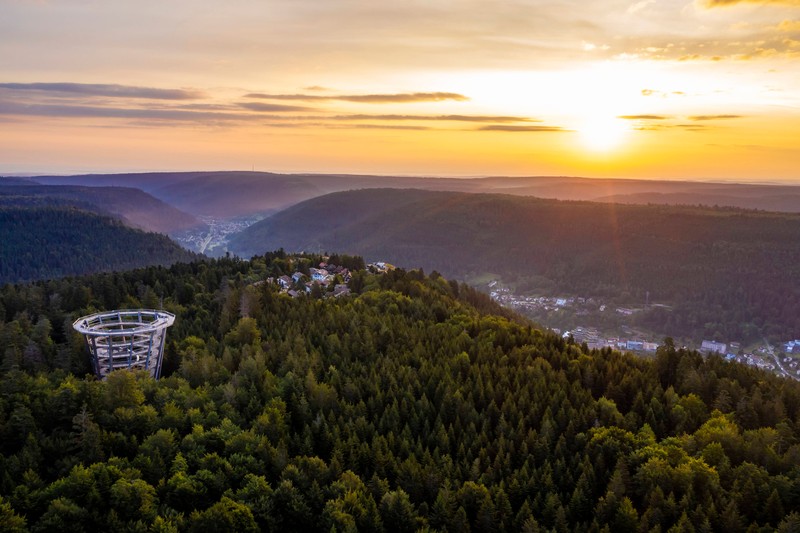 Diese Top-Aussicht erlebst du im Schwarzwald.