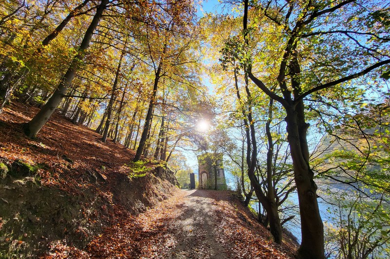 Eine wunderschöne Route bildet der Eifelsteig.