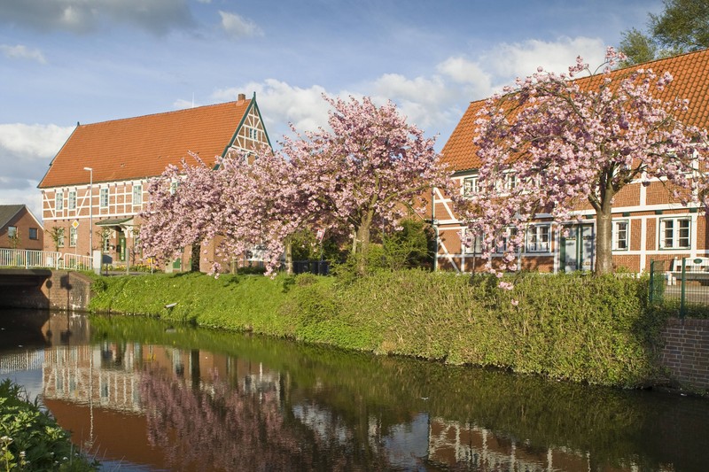 Apfel- und Kirschblüten schaffen ein Paradies.