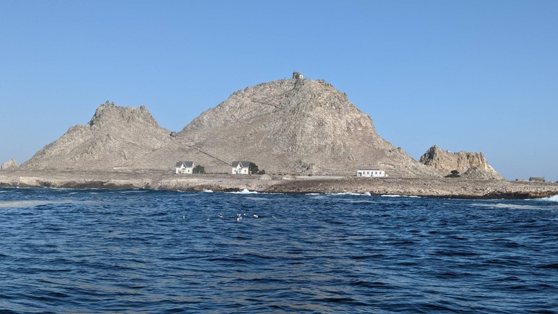 Farallon Islands darf aus Naturschutzgründen nicht betreten werden.