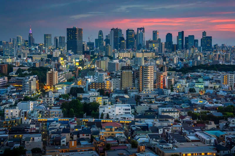 Tokio ist eine schöne, aber auch überdurchschnittlich belebte Stadt.