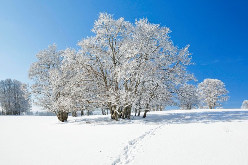 Die Schneelandschaft lockt Besucher*innen nach Neuenburg.