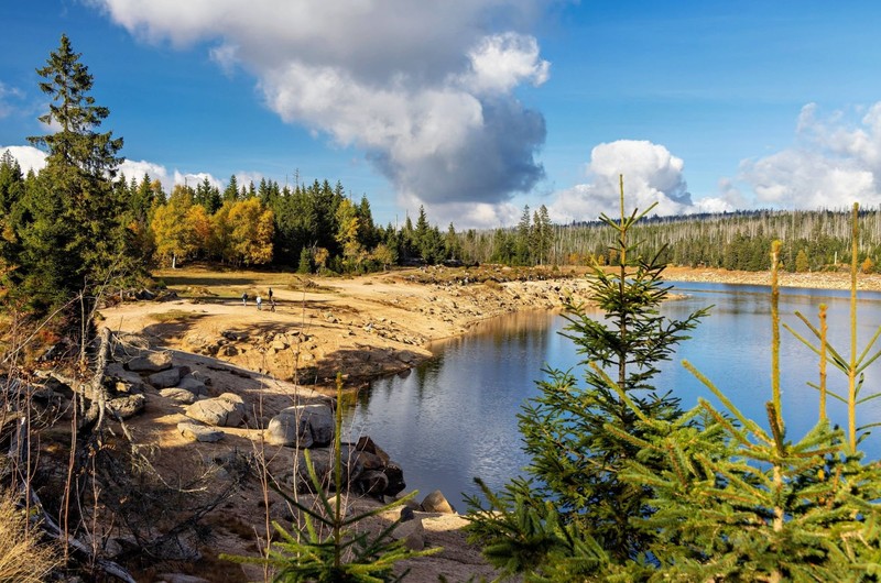 Im Harz gibt es viele tolle Orte zu entdecken.