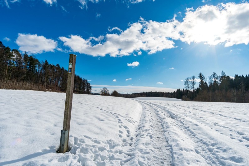 Schöne Schneelandschaften erwarten dich auch in Markdorf.