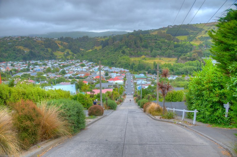 Die Baldwin Street in Dunedin zeigt sich als die steilste Straße der Welt.