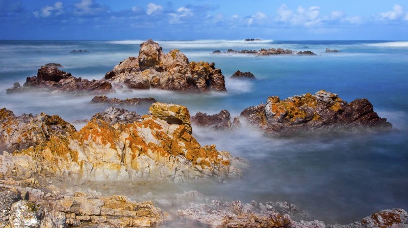 In Gansbaai musst du dir das Wasser mit unangenehmen Meeresbewohnern teilen.