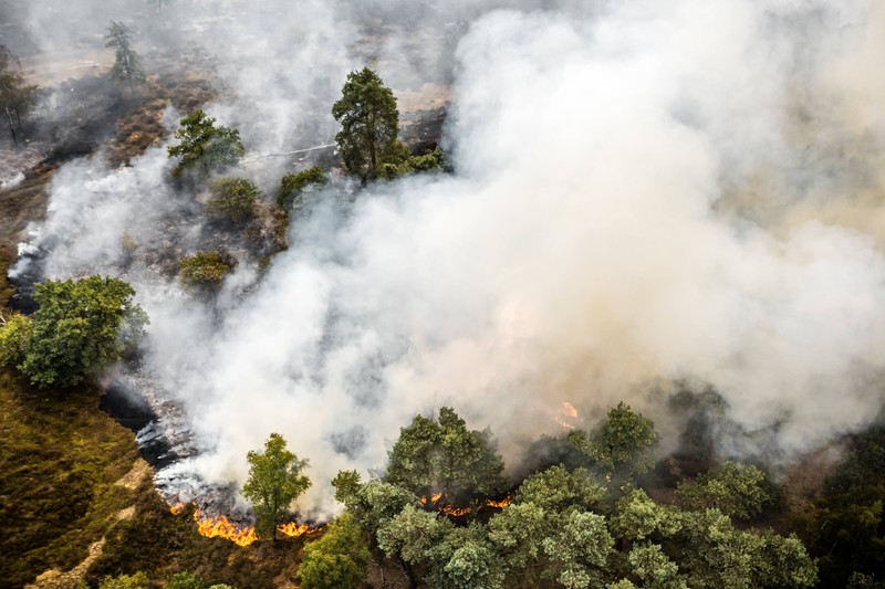 Großer Waldbrand in den Niederlanden hat Auswirkungen bis nach Deutschland.