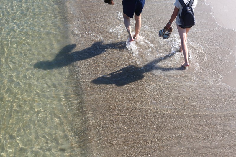 In Deutschland nehmen die Zahlen an Vibrionen-Infektionen durch das Ostsee-Wasser zu.