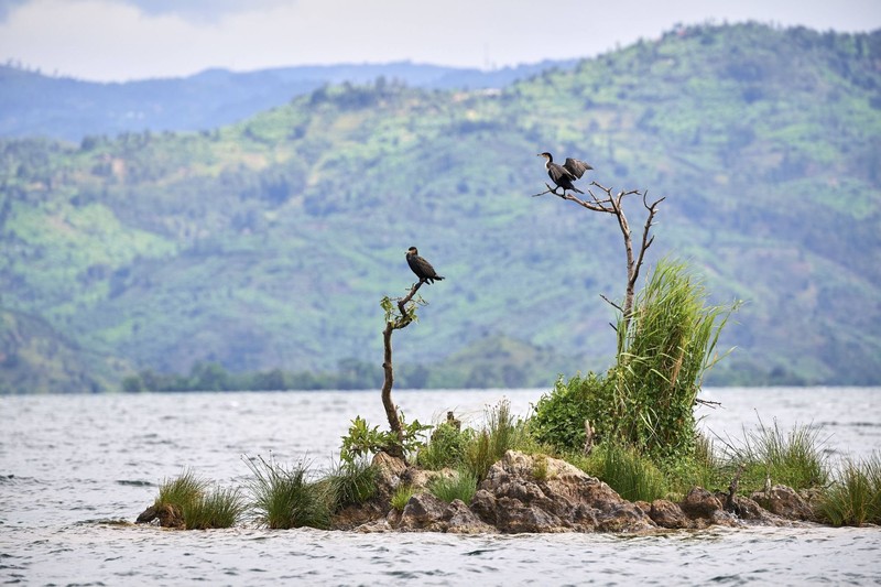 Hier kann es explosiv werden.