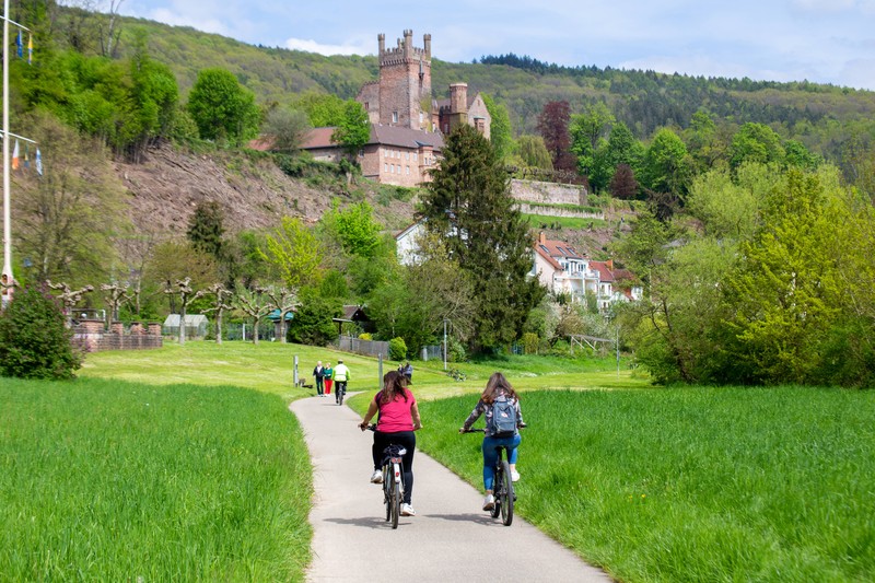 Der Neckartal-Radweg führt von Villingen-Schwenningen bis nach Mannheim.